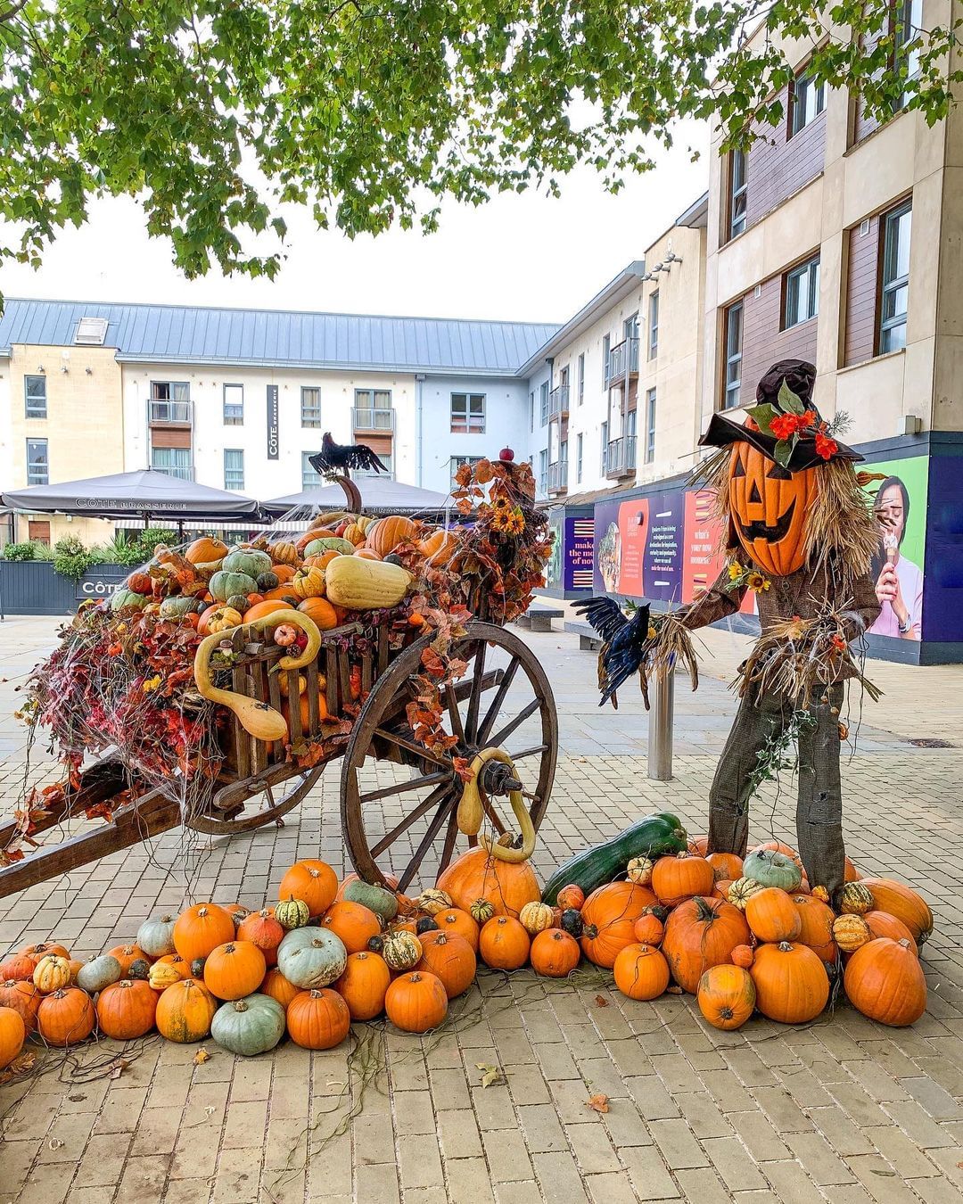 Rustic Cart