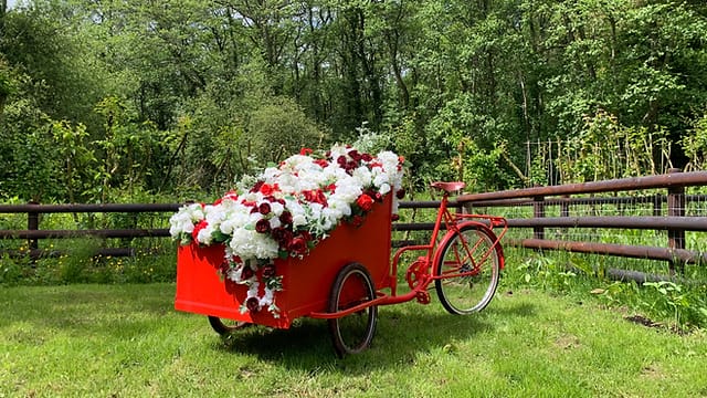 Hire this delivery bike