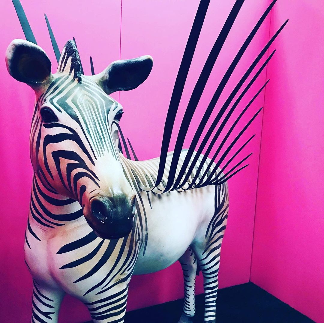 Life Size Zebra