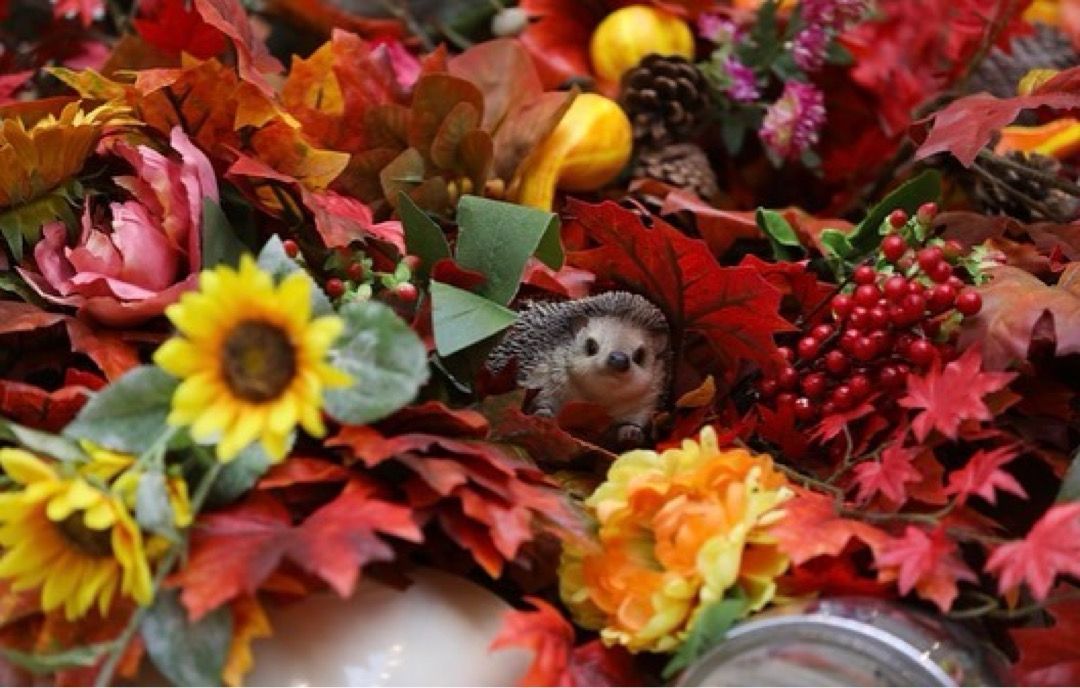 Autumnal flower design with hedgehog